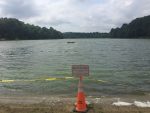 Harmful Algae Blooms Still Present, But Not Prevalent