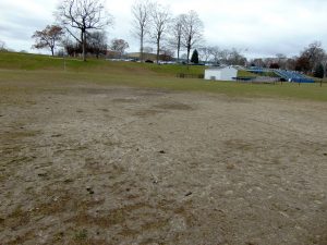 638 MP Athletic Facilities Bond pic | The Examiner News