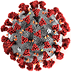 coronavirus image