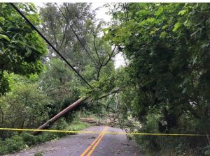 2020 NWE 0811 Trees Down Near Wilkens Farm | The Examiner News