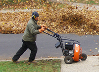 Pleasantville Leaf Blower Law