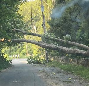 storm8-4-20 | The Examiner News