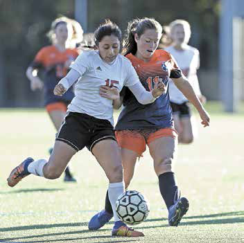 AllyForster | The Examiner News
