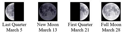 moon phases