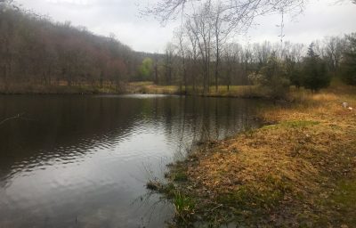 63-acre parcel in Armonk 