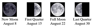 726 Clear Skies pic | The Examiner News