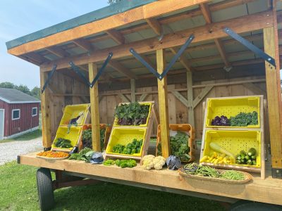 Farm stand 