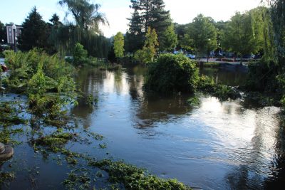 Flooded area from Hurricane Ida 