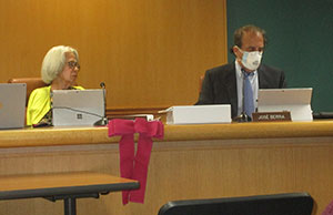 734-No.-Castle-Mask-Spat-pic | The Examiner News