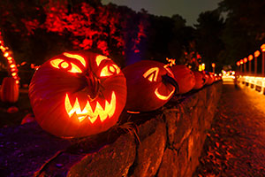 Jack'o-lanterns