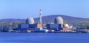 Indian-Point-300 | The Examiner News