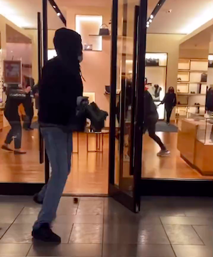 Video: Thieves snatch several Louis Vuitton bags at The Westchester mall