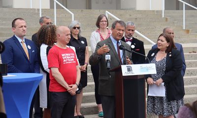 770-County-Gun-Law-pic | The Examiner News