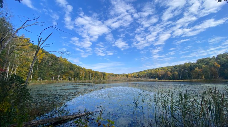 Land Trust