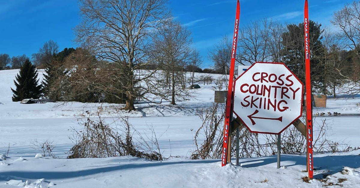May be an image of road, snow, tree, nature and text that says 'CROSS COUNTRY SKIING'