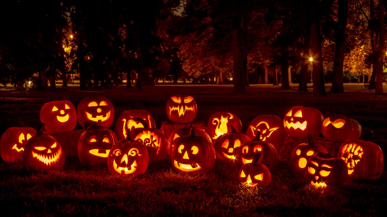 Outdoor Halloween Fun: Peace, Love &amp; Pumpkins 2021