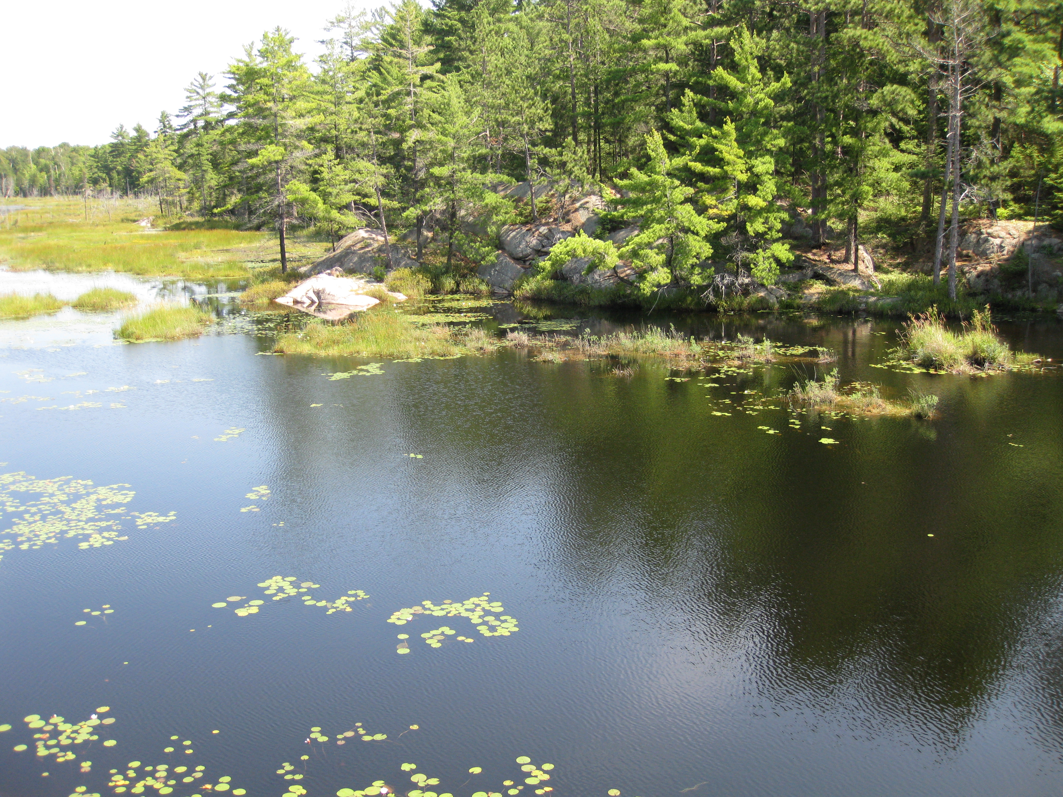 File:Cranberry Bog Trail (3882252083).jpg - Wikimedia Commons