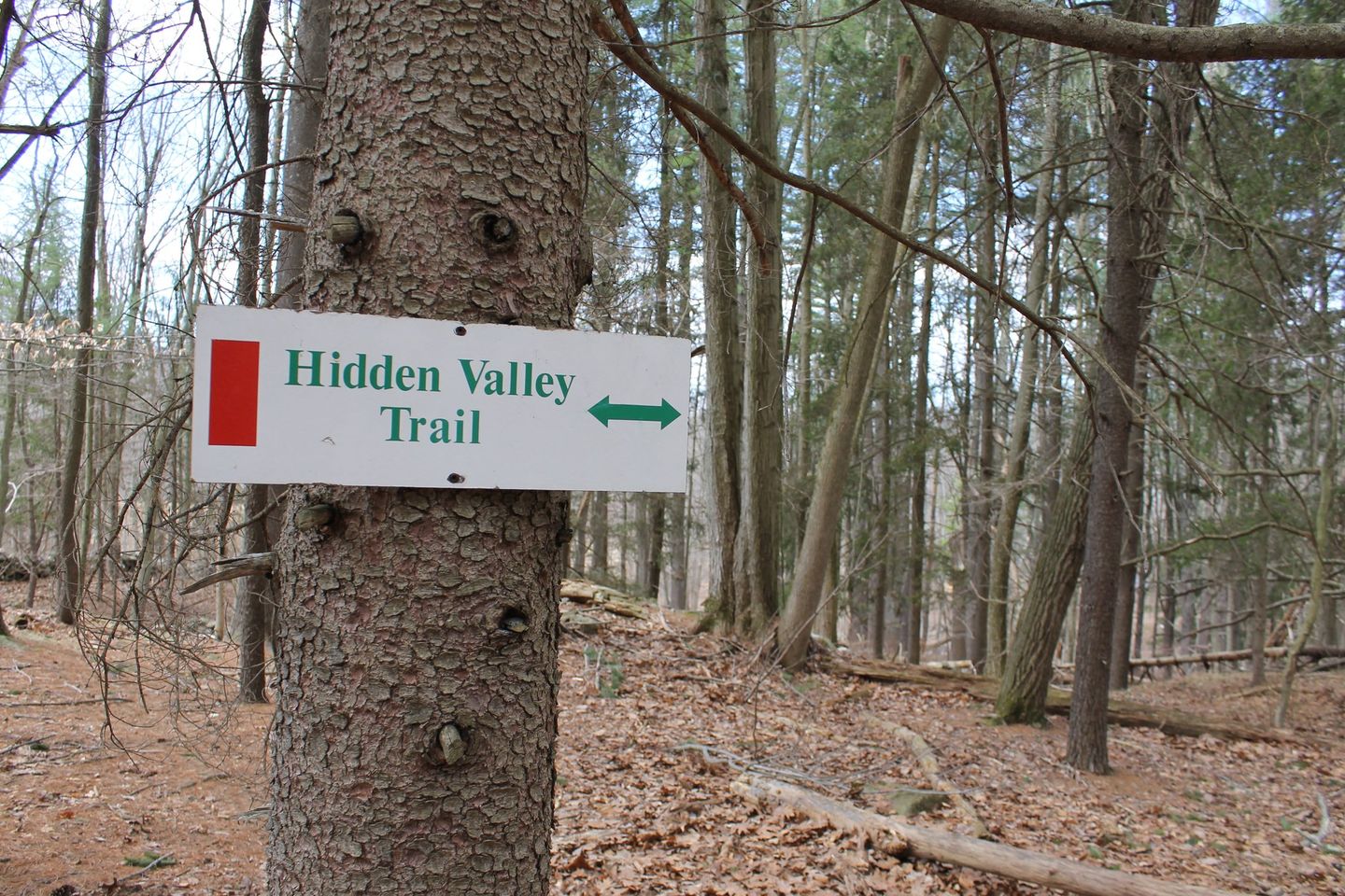 May be an image of tree, nature and text that says 'Hidden Valley Trail'