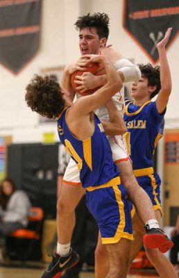 Crotons-Ben-Reed-battles | The Examiner News