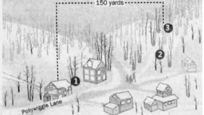 YT-Murder-Graphic1 | The Examiner News