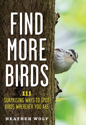 862-For-the-Birds-pic | The Examiner News
