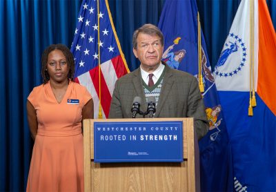 865 Gun Violence Task Force pic | The Examiner News