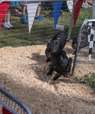 874 Fol-de-Rol pic 1 | The Examiner News