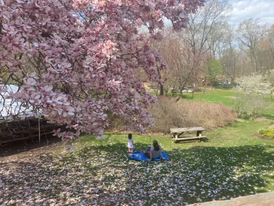 2024 EXAM 0813 Greenburgh Nature Center | The Examiner News