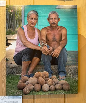 Couple-posed-behind-harverst | The Examiner News