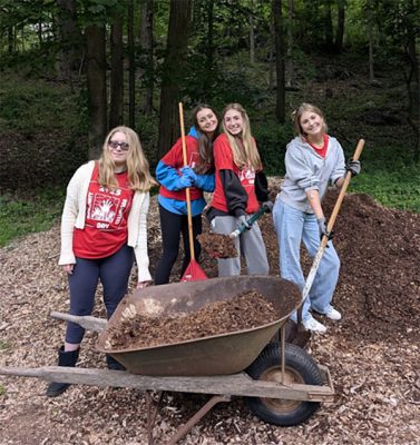 mulching | The Examiner News