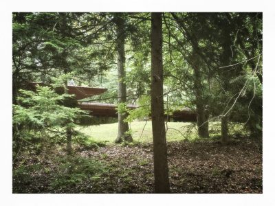 1754514683366 1 | The Examiner News
